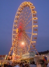 PA051288.JPG