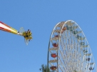 IMG_8718.JPG