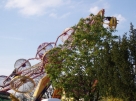 oa0038.JPG