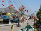 IMG_9890.JPG