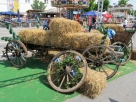 IMG_7735.JPG